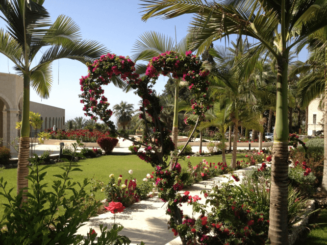 הקמה ועיצוב גינה 6